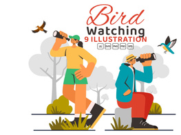 9 Bird Watching Activity Illustration preview picture