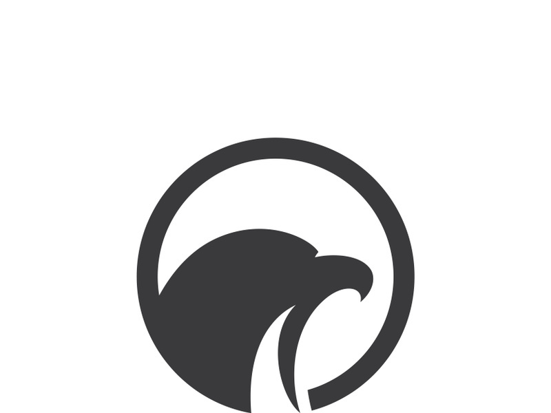 Eagle Logo Vector  Creative eagle icon Template illustration