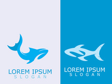 Shark Logo animal sea design icon vector silhouette template