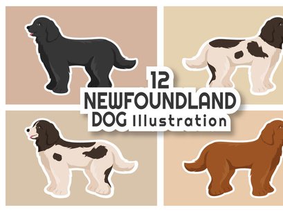 12 Newfoundland Dog Illustration