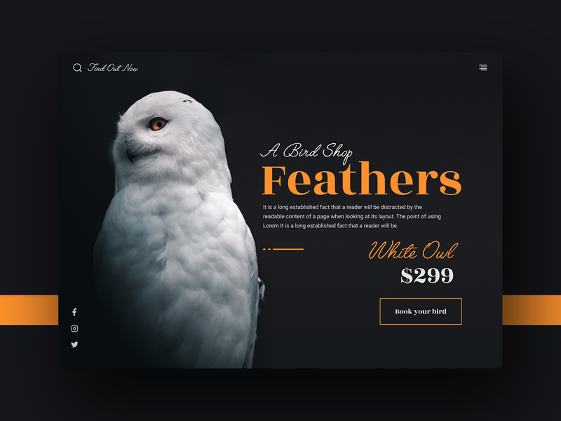 Bird Shop Website And Landingpage Header