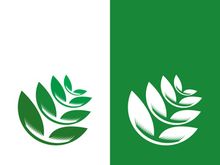 Logos of green tree leaf ecology nature element vector