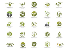 Olive oil logo vector