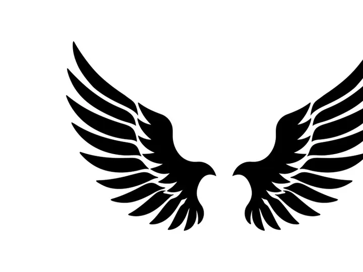 black bird wing logo vector