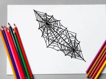 Intricate Spider Web with Dew Drops in Natural Setting