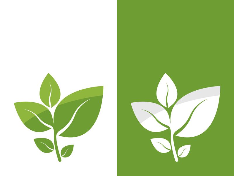 Logos of green tree leaf ecology nature element vector