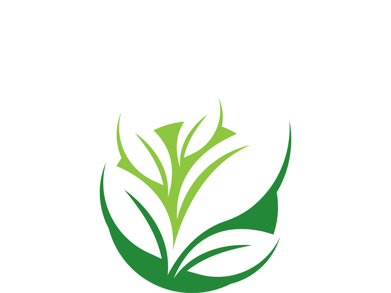 Logos of green tree leaf ecology nature element vector