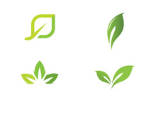 Green leaf logo  Nature icon design