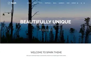 Spark - Portfolio WordPress Theme