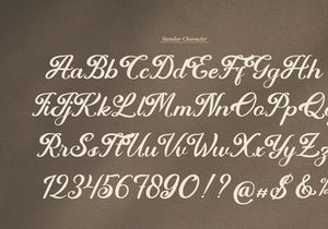 Famlyn Molteno | Handwritten Script Font