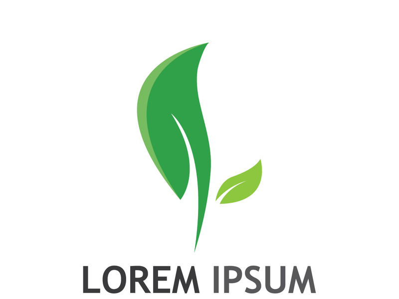 Natural green leaf logo design.