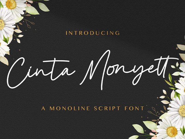 Cinta Monyett - Handwritten Font