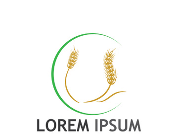 Organic wheat farm logo template. preview picture