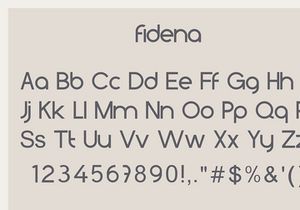 Fidena Display Sans Serif