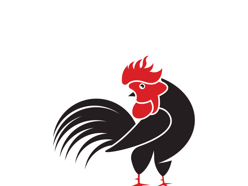 Rooster logo icon vector and symbol template design illustration