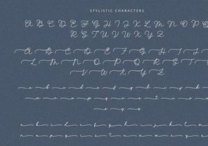Bellise - Script Font