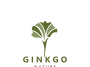 Ginkgo leaf biloba logo nature. Healthy ingredient that is used in medicine for disease treatment with line art style design