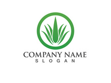 Aloe vera logo vector ilustration template