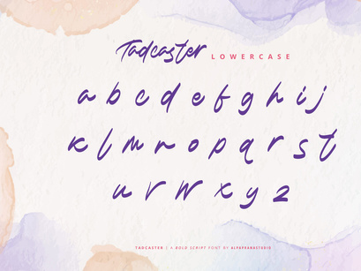 Tadcaster - Bold Script Font