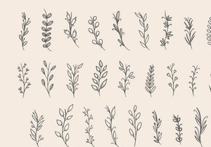 Dedaunan - Botanical Dingbat