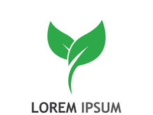 Natural green leaf logo design.