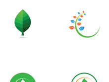 Natural green leaf logo design.