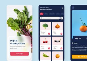 Grocery Design App UI Kit