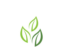 Green leaf ecology nature element vector icon
