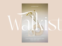 Walkist A New Modern Serif Display preview picture