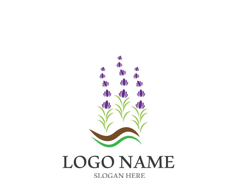 Lavender flower vector icon illustration design template