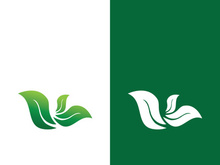 Logos of green tree leaf ecology nature element vector