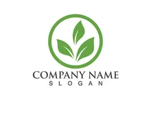 Eco Energy Vector Logo with leaf symbol. Green color with flash or thunder graphic. Nature and electricity renewable. This logo is suitable for technology, recycle, organic.