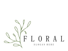 Elegant floral and leaf frame. Delicate botanical vector illustration for labels, spas, corporate identity, and wedding invitations