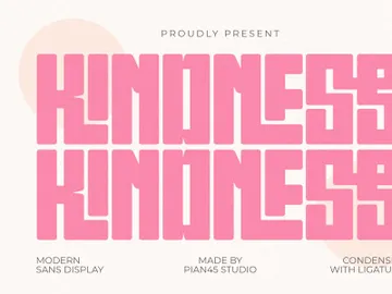 Kindness - Modern Sans Display Font preview picture