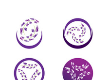 Lavender flower vector icon illustration design template