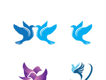Dove bird logo vector design illustration