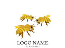 Bee logo vector icon illustration design
