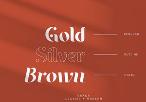 Braga Serif - Classic & Modern