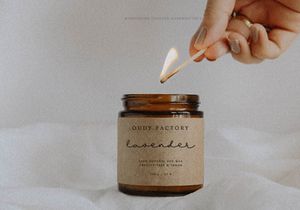 Morphadore - Longtail Script