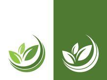 Logos of green tree leaf ecology nature element vector
