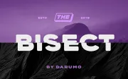 Bisect Display Font