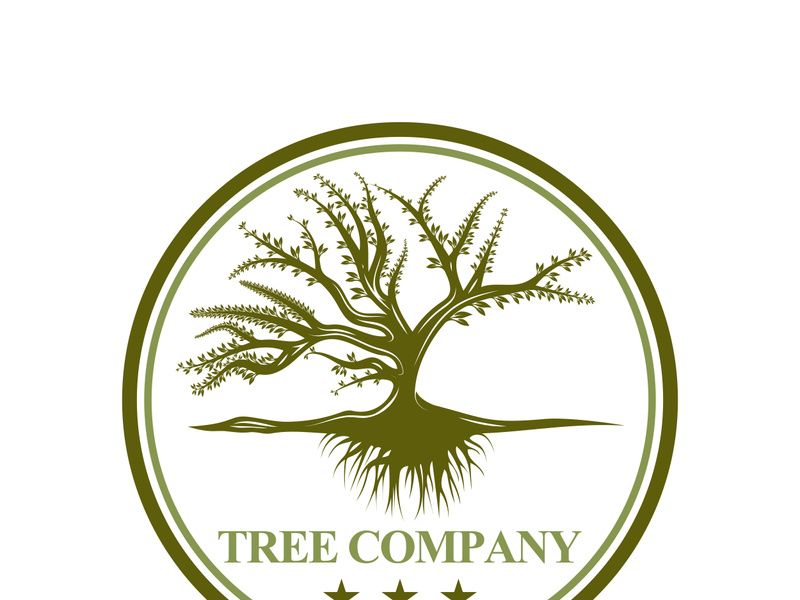 Root Leaf Family Tree of Life Oak Banyan Maple Stamp Seal Emblem Label logo design vector