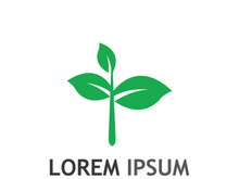 Natural green leaf logo.