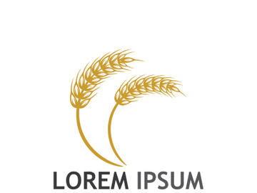 Organic wheat farm logo template. preview picture