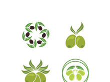 Extra virgin olive oil logo icon design vector illustration