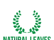 Leaf logo
