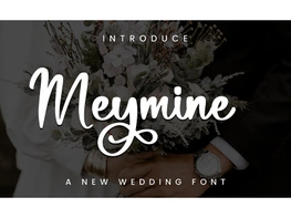 Meymine preview picture