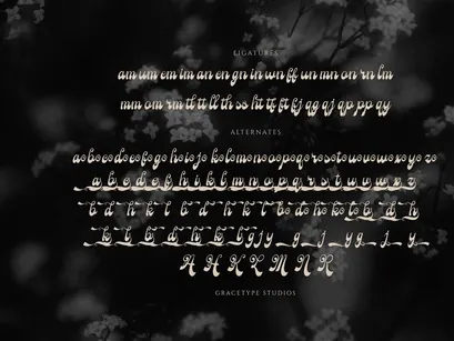 Rolling Rhapsody | Handwritten Script