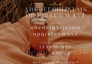 Gyahegi Elegant Modern Serif Font