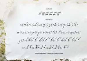 Song Camysa | Classic Elegant Script